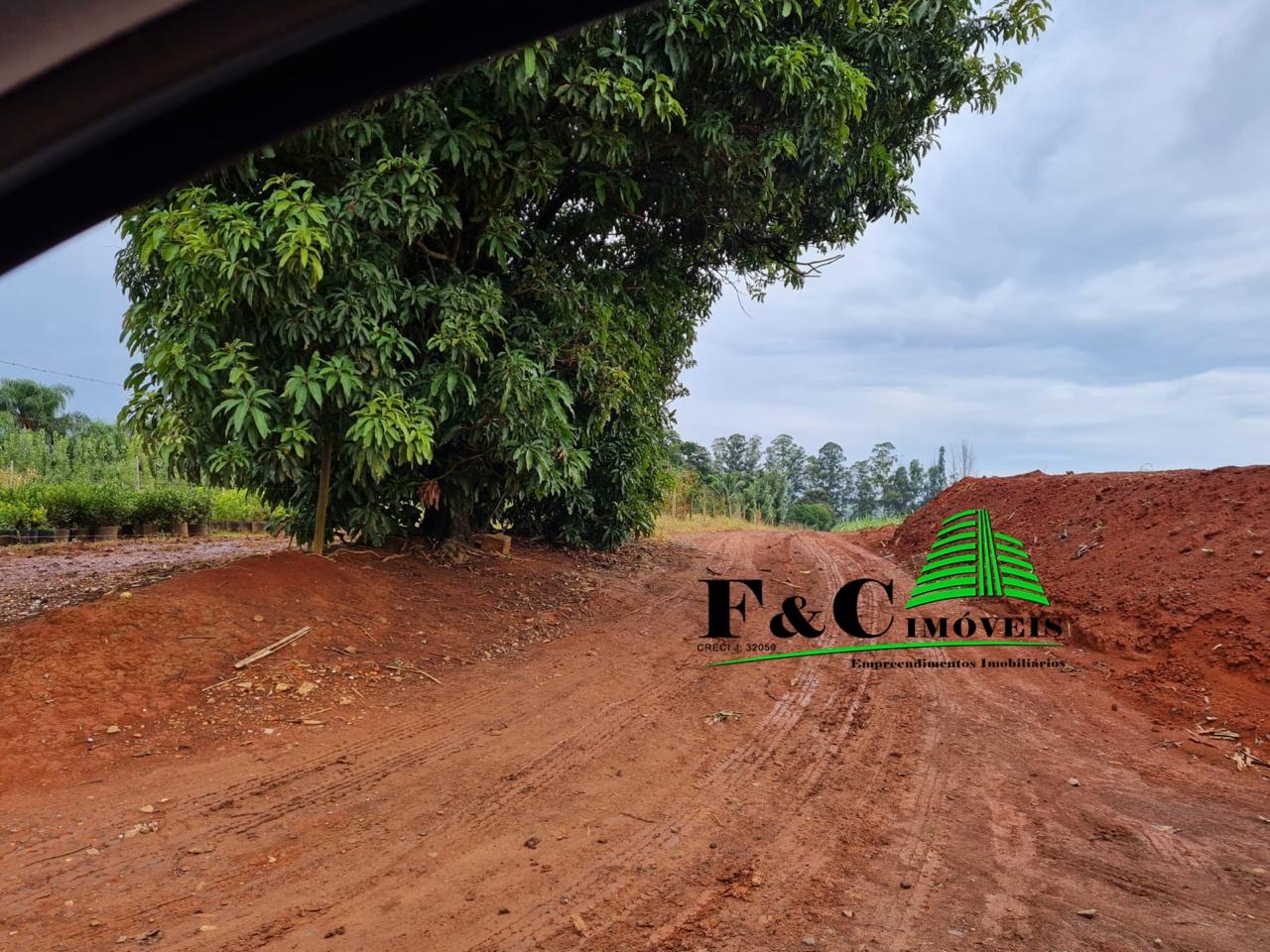 Terreno, 4 hectares - Foto 10