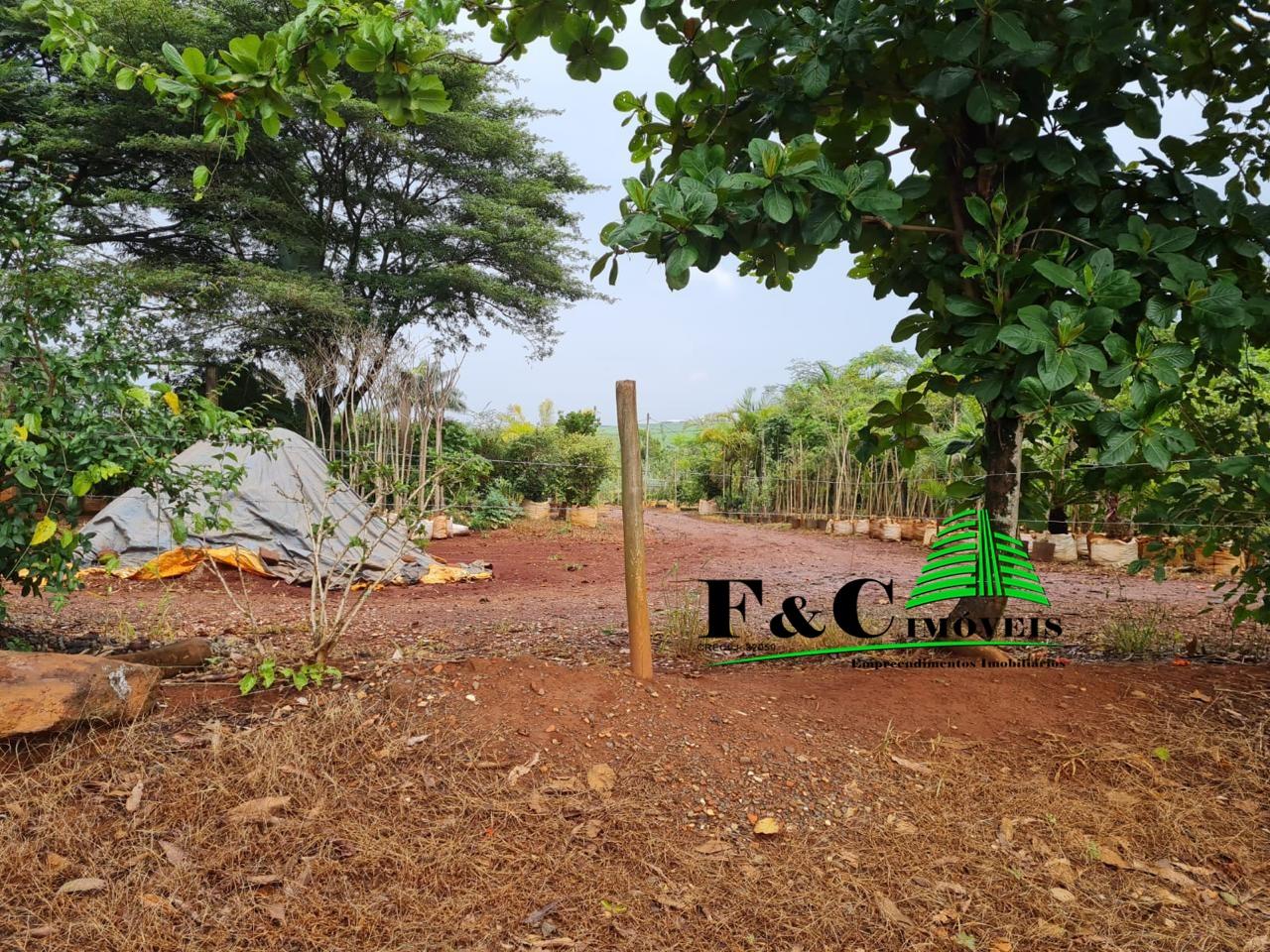 Terreno, 4 hectares - Foto 11