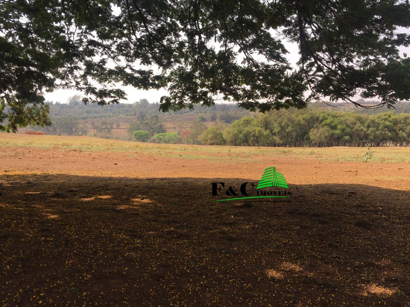 Terreno, 23 hectares - Foto 12