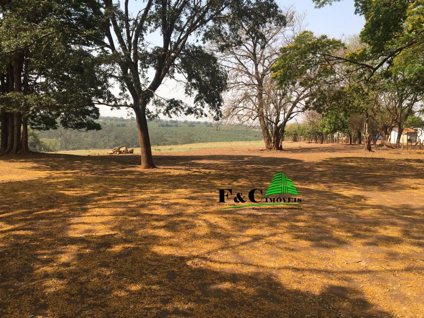 Terreno, 23 hectares - Foto 14