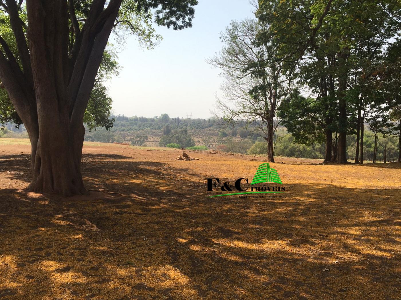 Terreno, 23 hectares - Foto 17