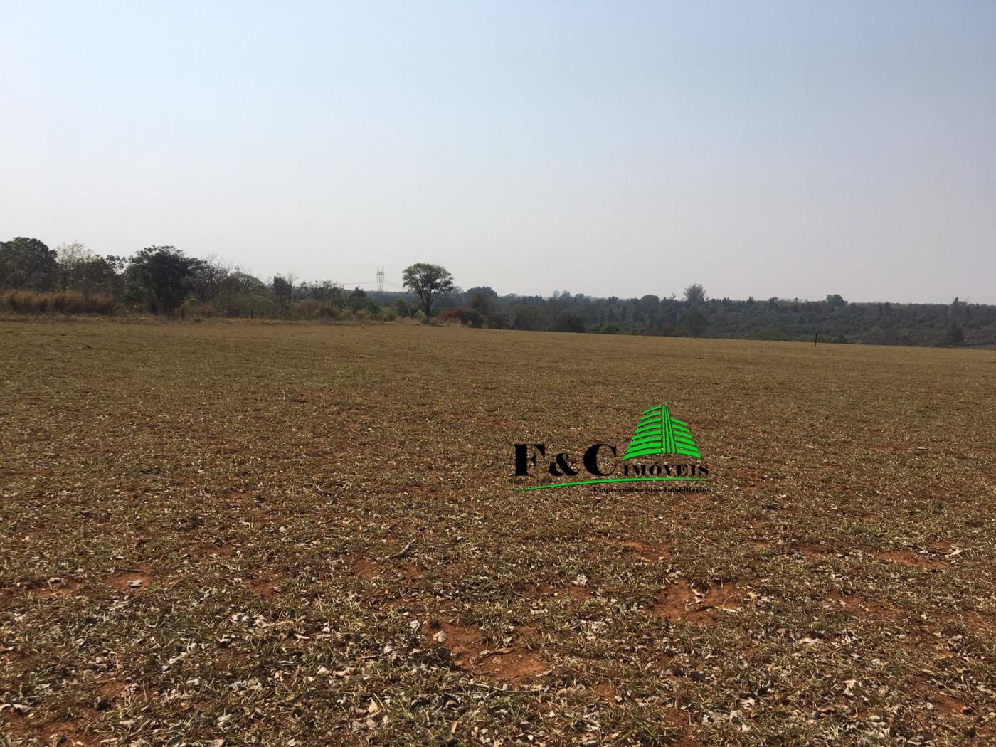 Terreno, 23 hectares - Foto 21