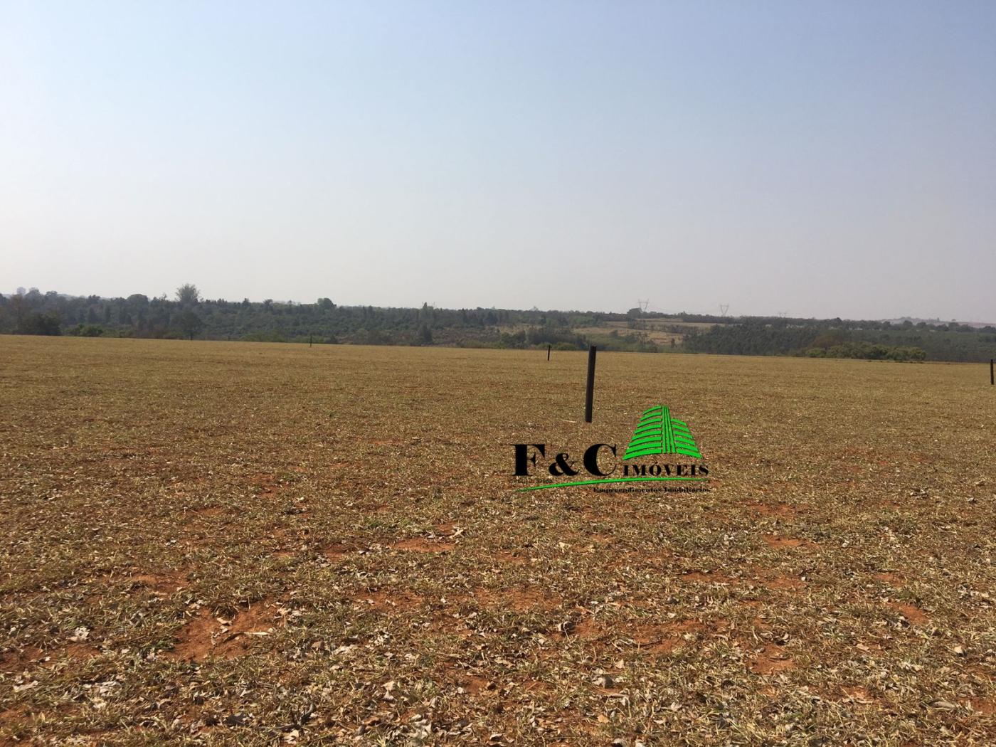 Terreno, 23 hectares - Foto 3