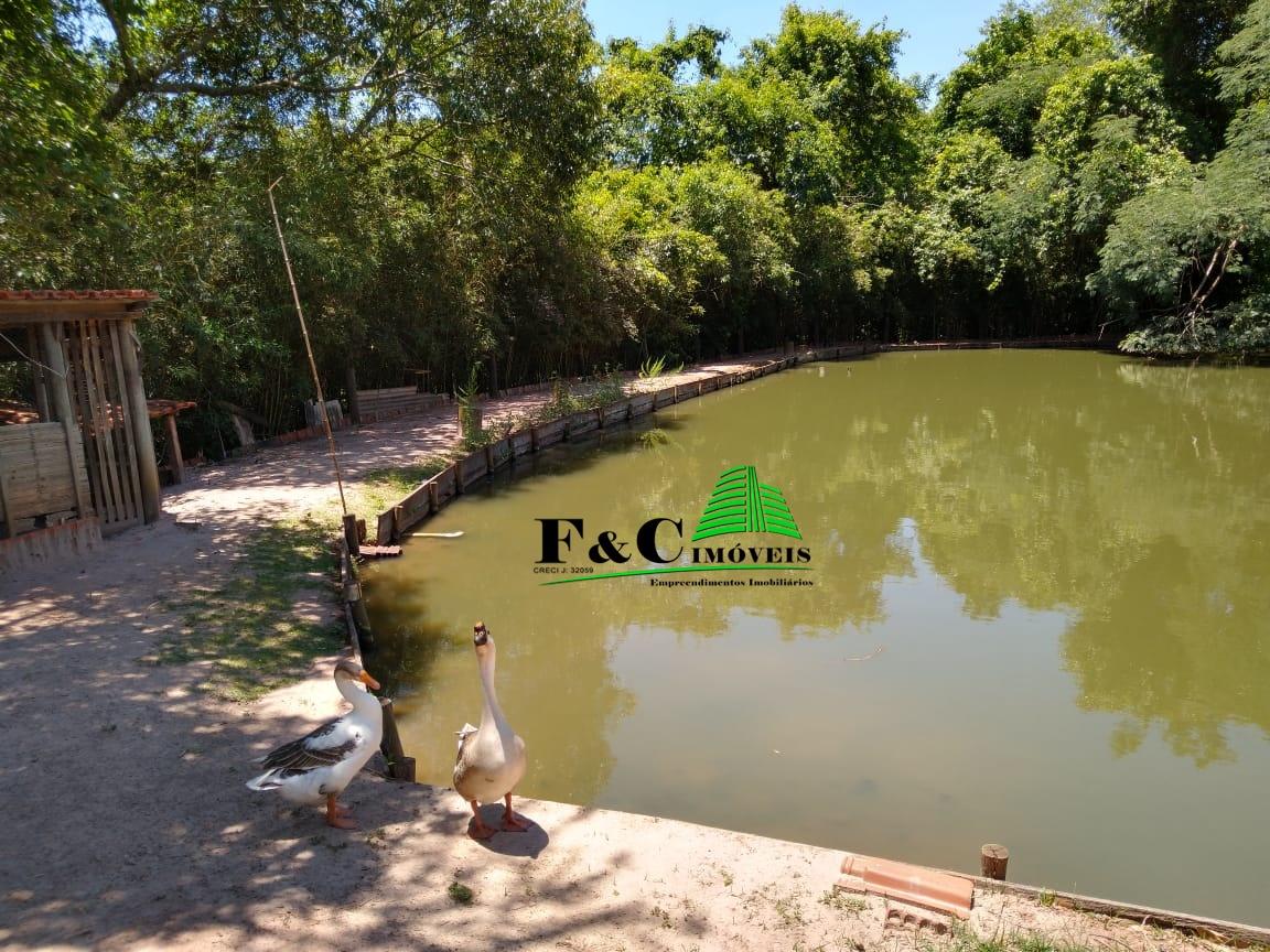 Chácara, 3 quartos, 2 hectares - Foto 7