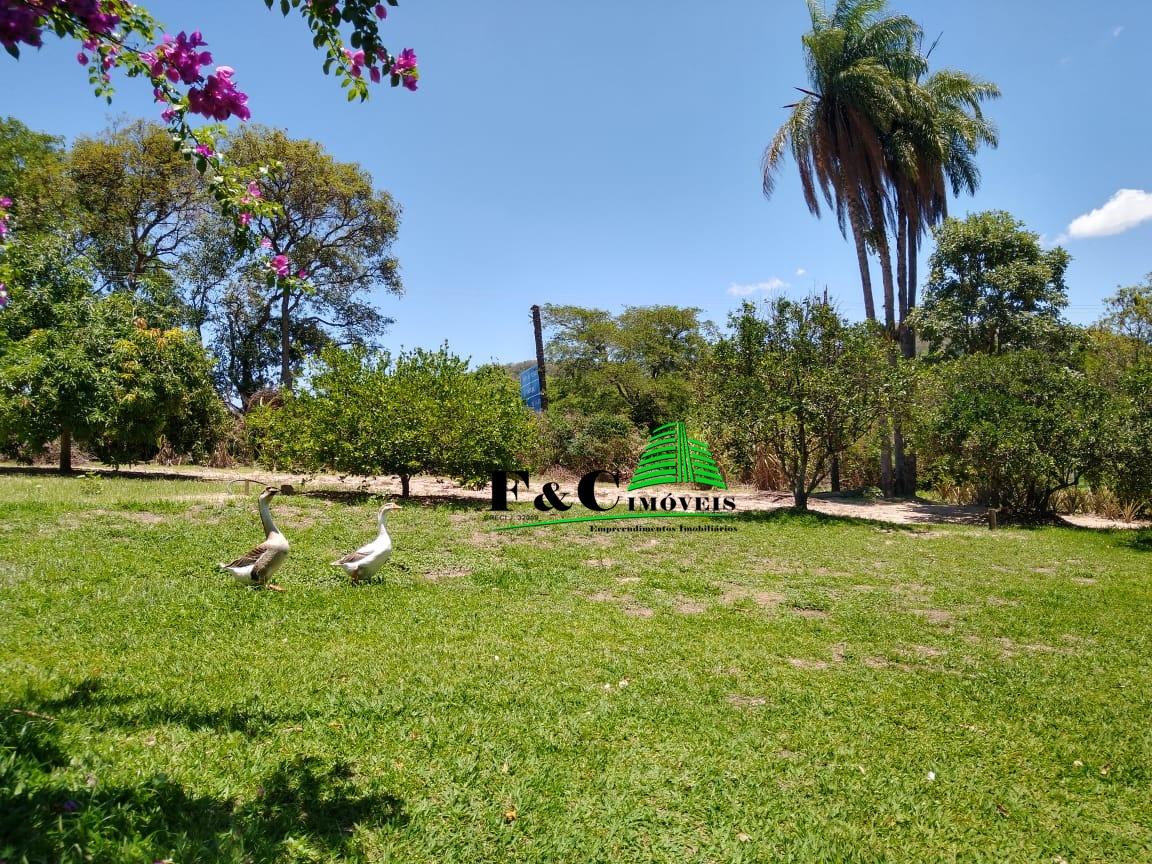 Chácara, 3 quartos, 2 hectares - Foto 41