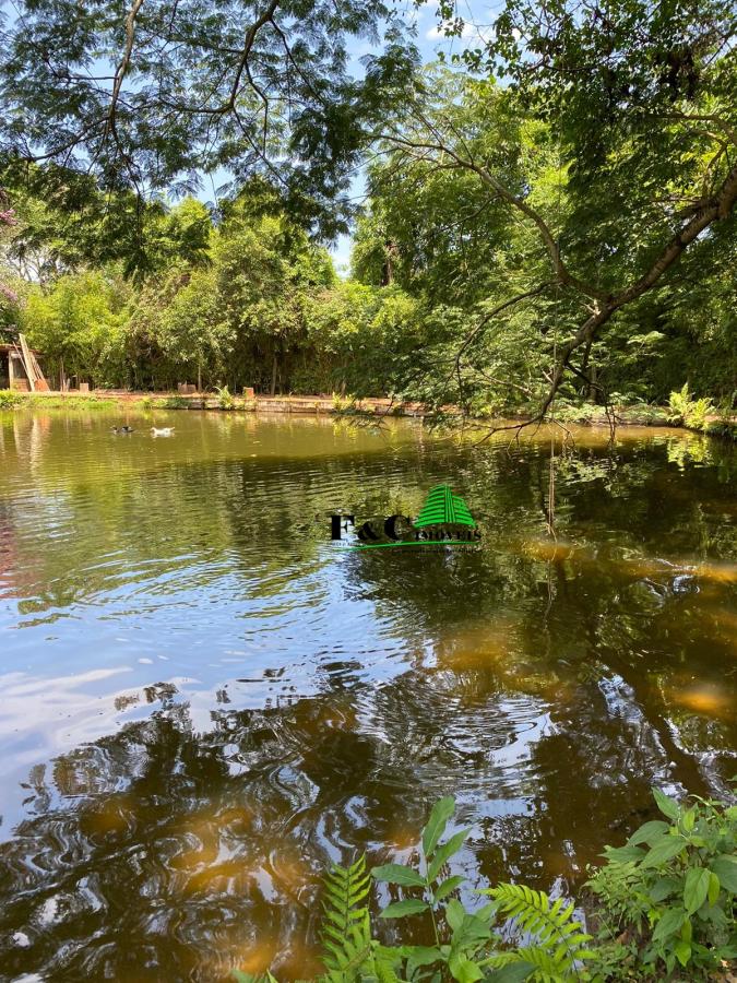 Chácara, 3 quartos, 2 hectares - Foto 57