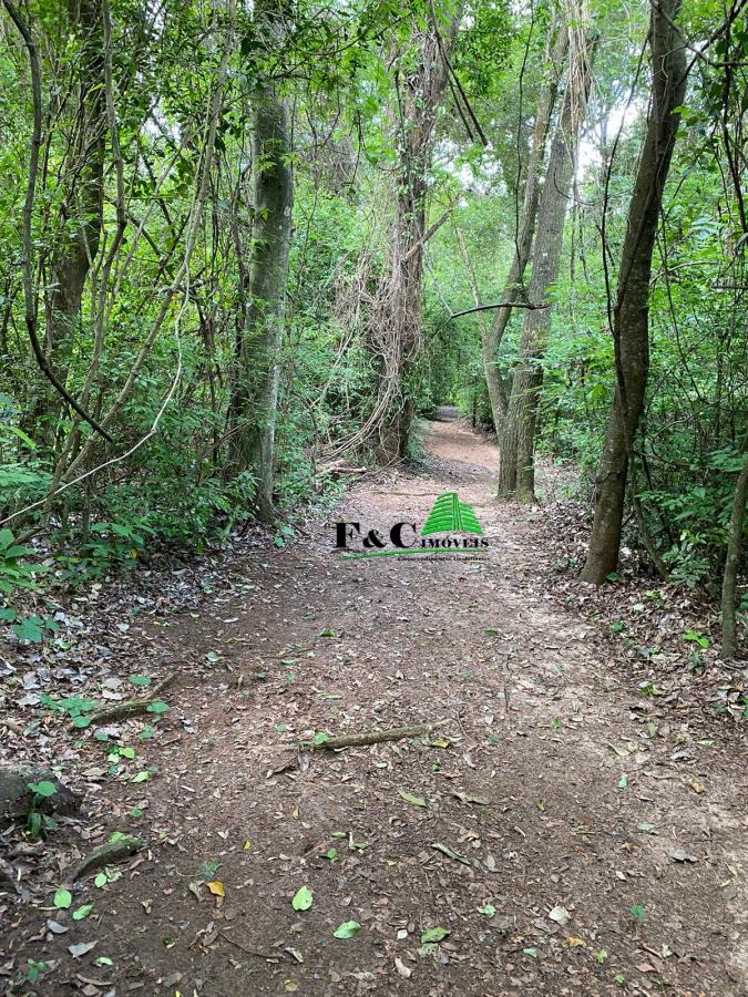 Chácara, 3 quartos, 2 hectares - Foto 60