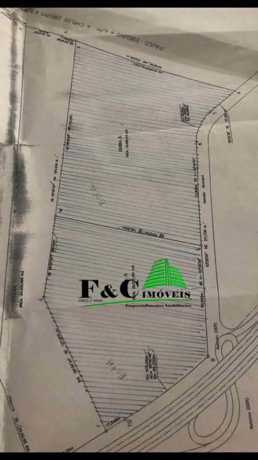 Terreno, 5 hectares - Foto 3