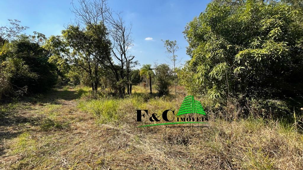 Terreno, 5 hectares - Foto 10