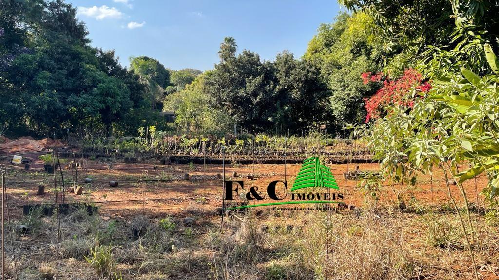 Terreno, 5 hectares - Foto 11