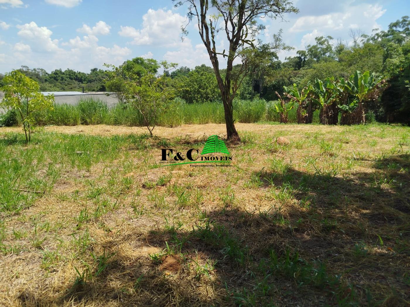 Chácara, 4 quartos, 1 hectares - Foto 7