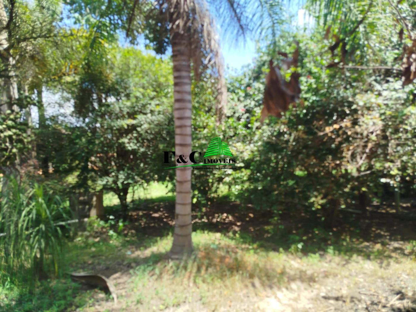 Chácara, 4 quartos, 1 hectares - Foto 14