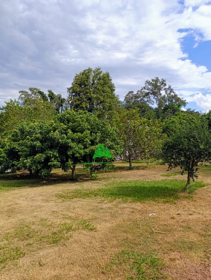 Chácara, 4 quartos, 2000 m² - Foto 22