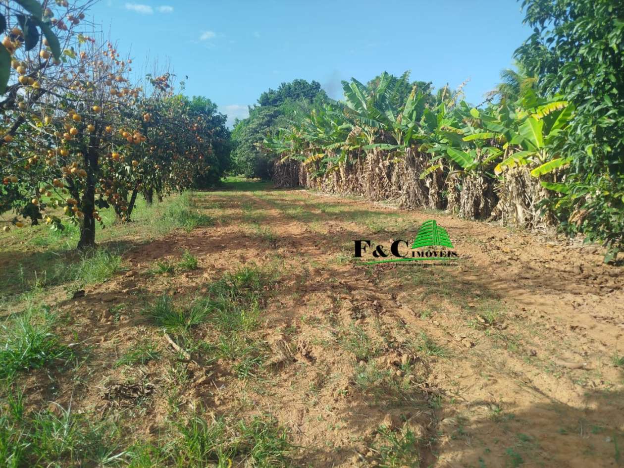 Loteamento e Condomínio, 3 hectares - Foto 13