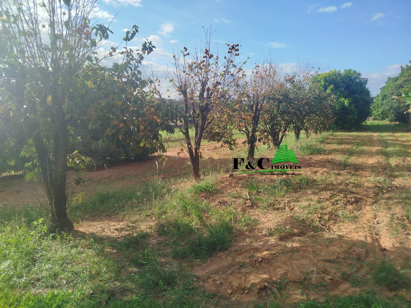Loteamento e Condomínio, 3 hectares - Foto 15
