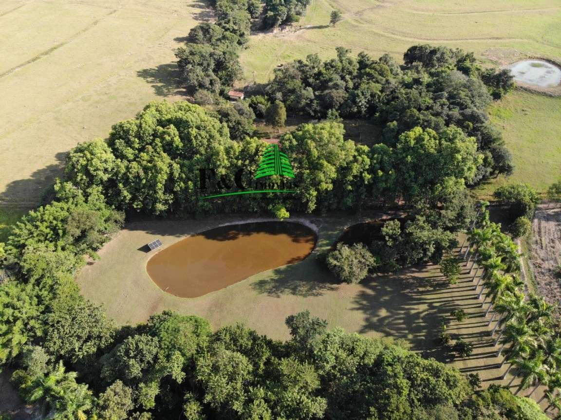 Chácara, 3 quartos, 2 hectares - Foto 10