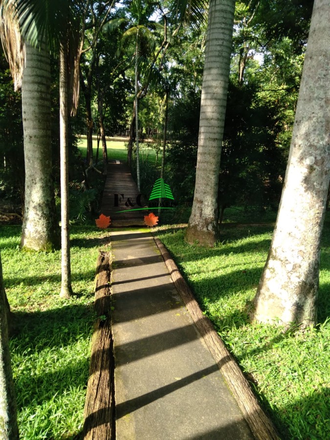 Chácara, 3 quartos, 2 hectares - Foto 30