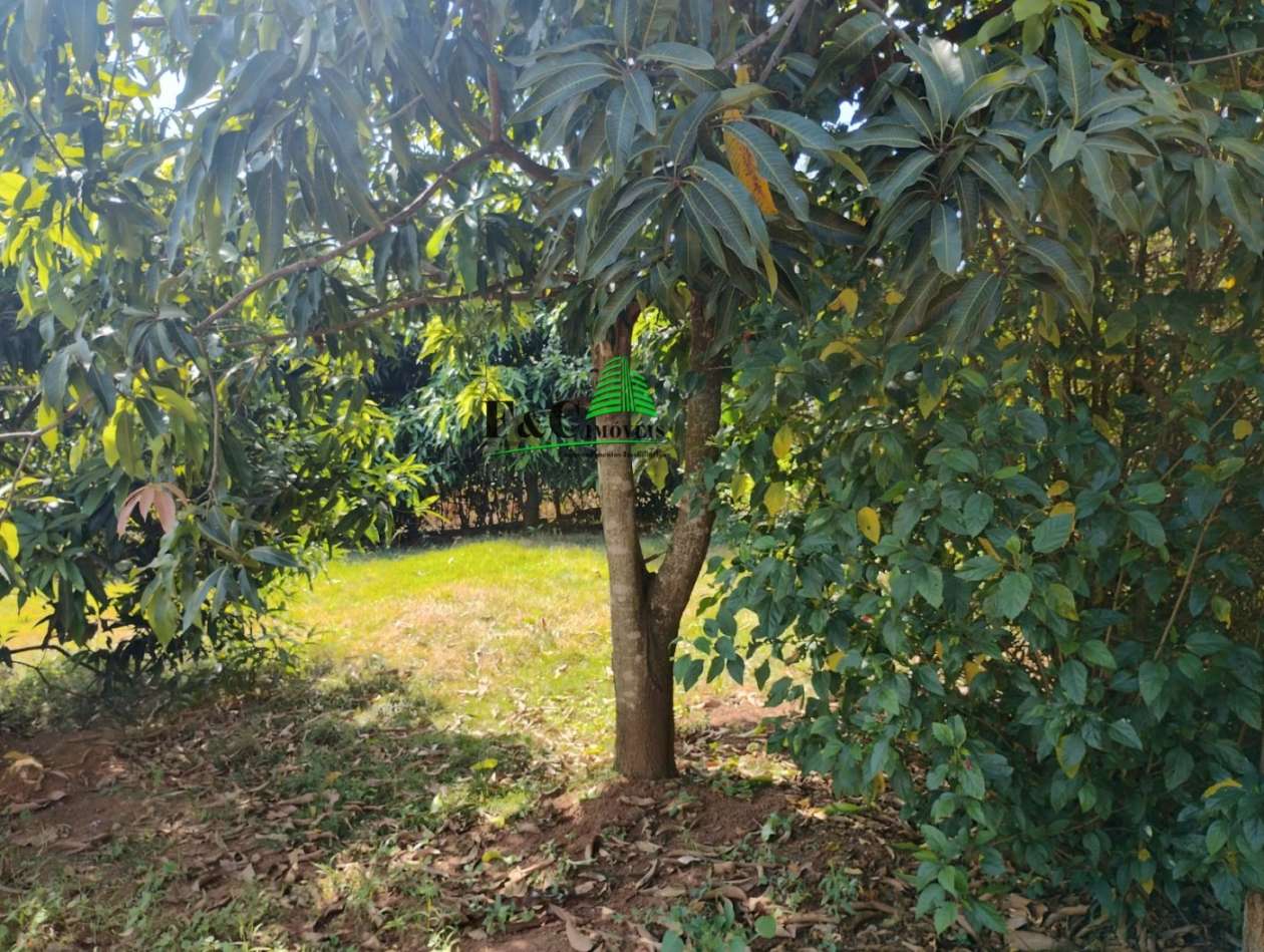 Terreno, 1000 m² - Foto 2