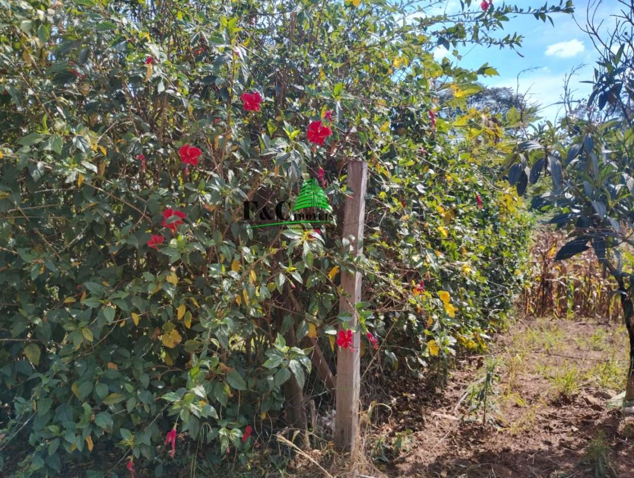 Terreno, 1000 m² - Foto 4