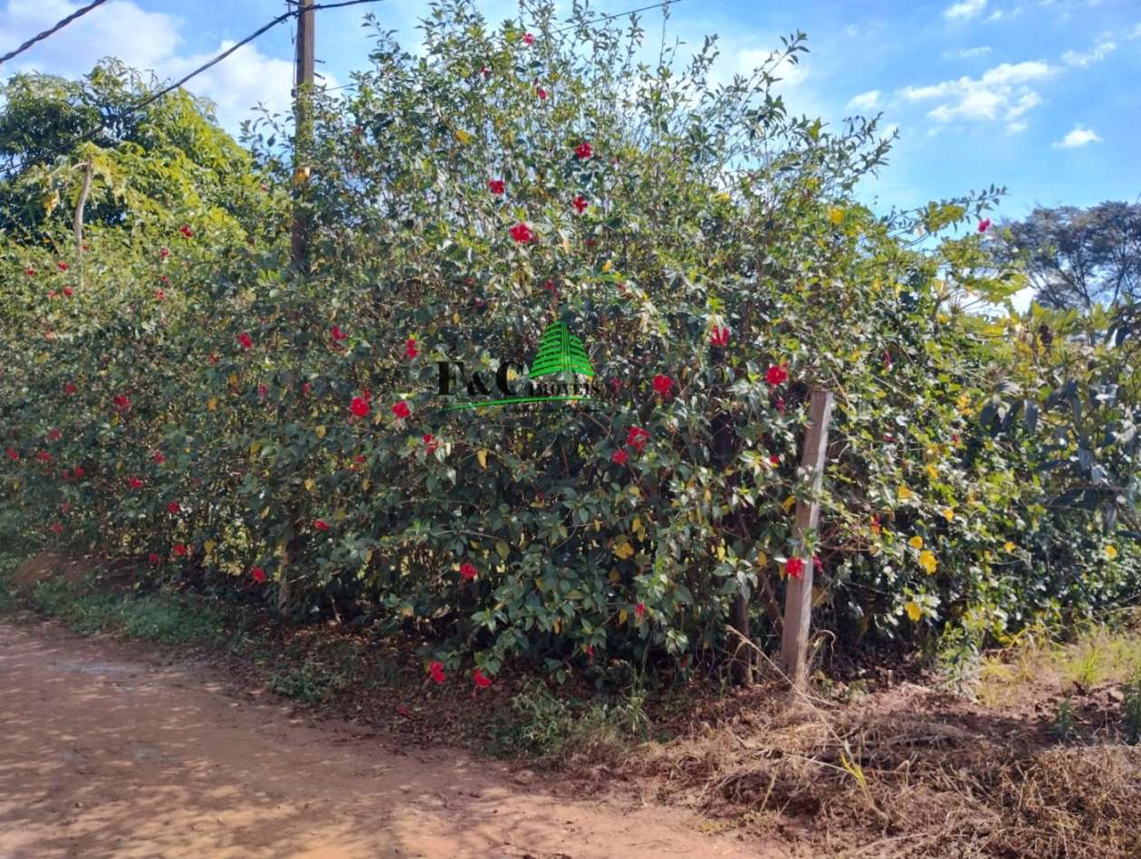 Terreno, 1000 m² - Foto 5