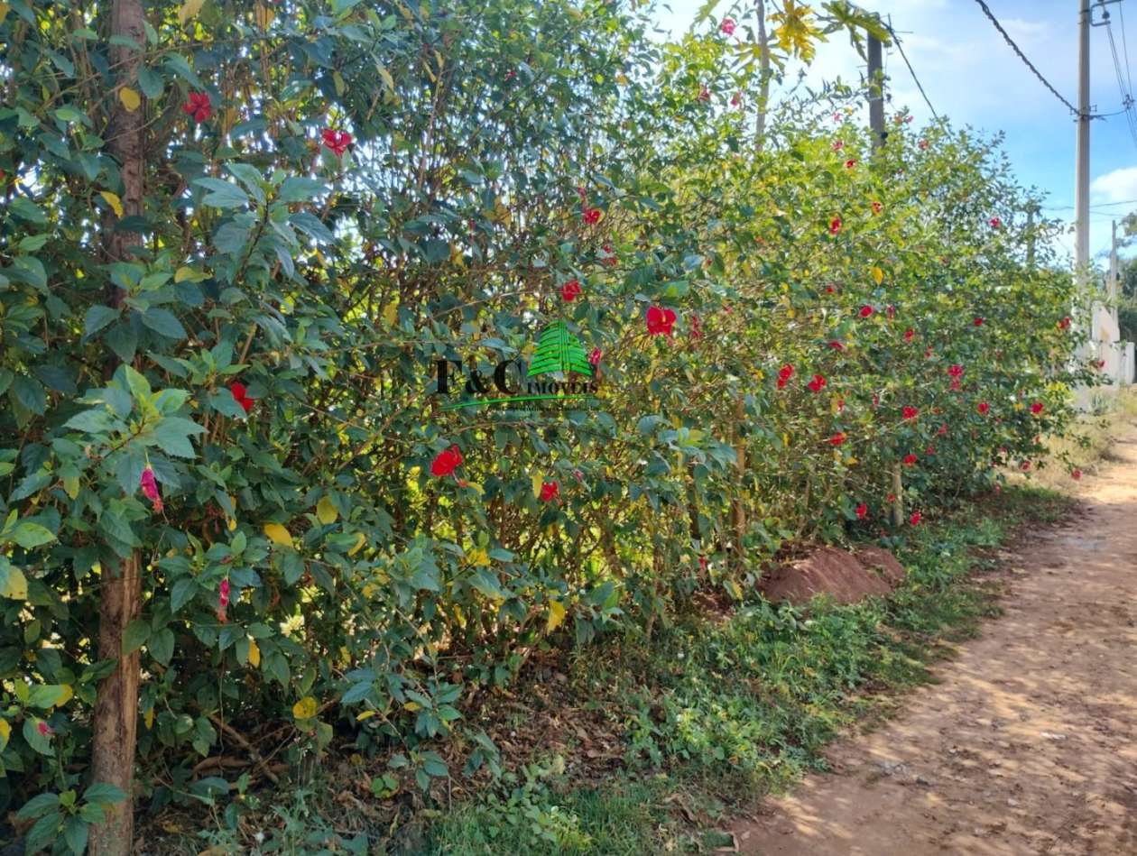 Terreno, 1000 m² - Foto 6