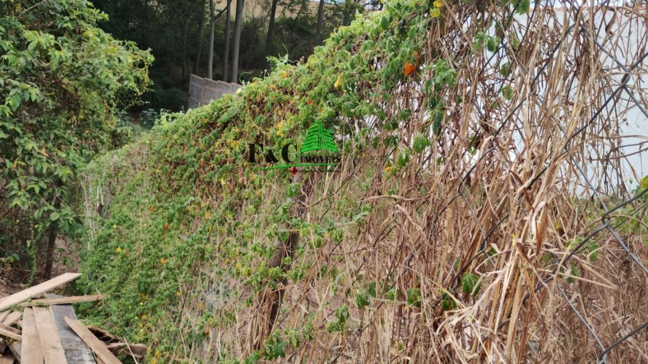 Terreno, 1000 m² - Foto 12