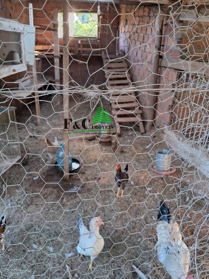 Chácara, 2 quartos, 8000 m² - Foto 24