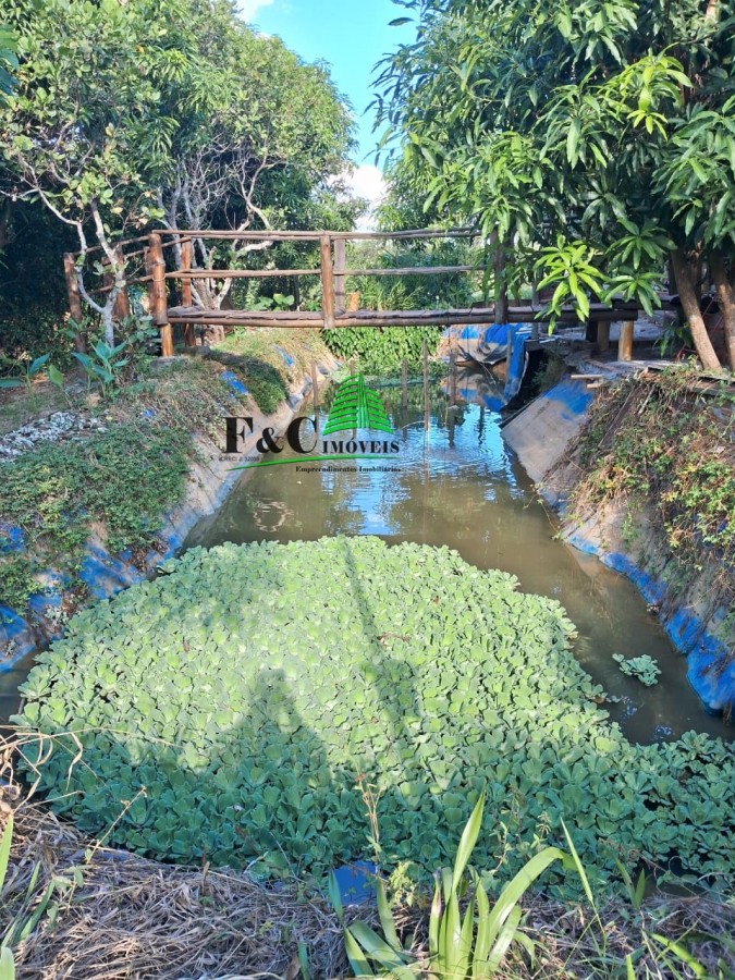 Chácara, 2 quartos, 8000 m² - Foto 2