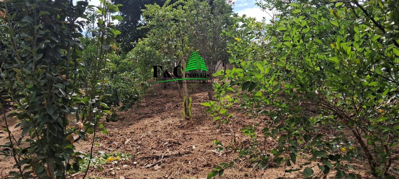 Chácara, 2 quartos, 2400 m² - Foto 4