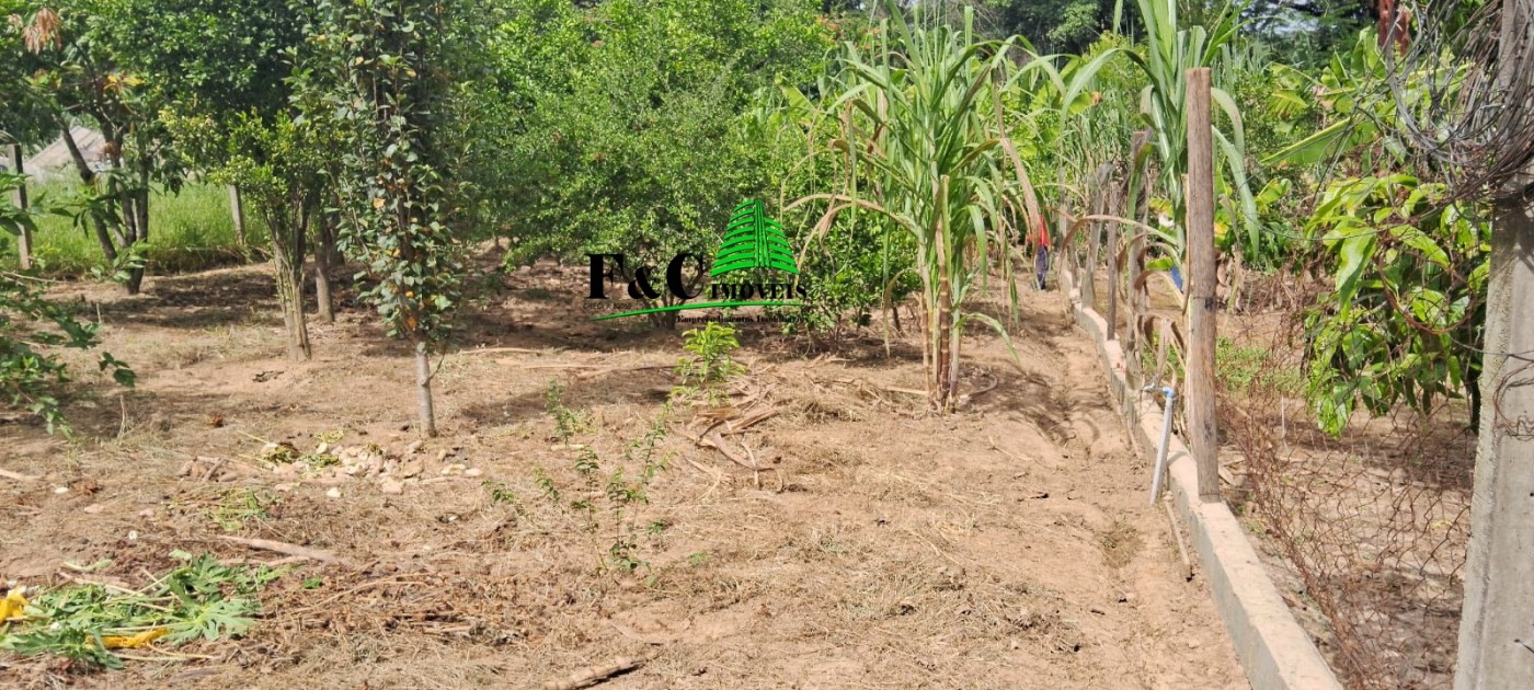 Chácara, 2 quartos, 2400 m² - Foto 6