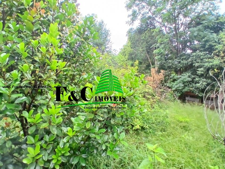 Chácara, 3 quartos, 3016 m² - Foto 8