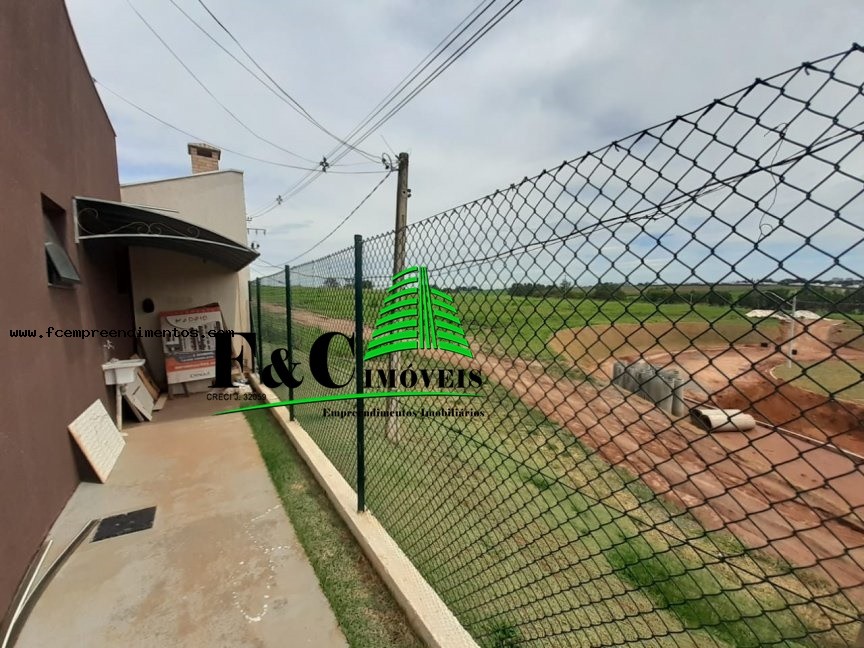 Sala-Conjunto - Foto 1