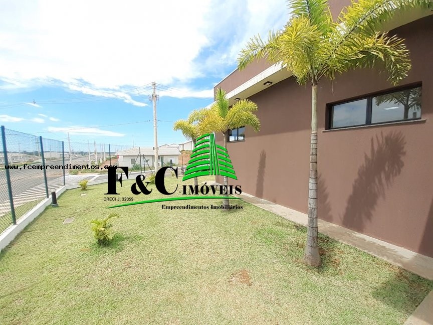 Sala-Conjunto - Foto 6