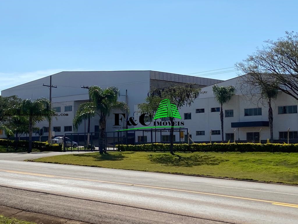 Depósito-Galpão - Foto 5