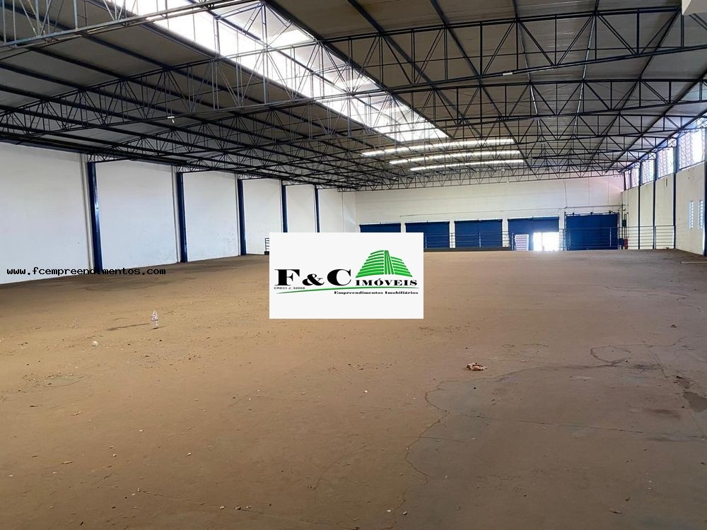 Depósito-Galpão - Foto 3