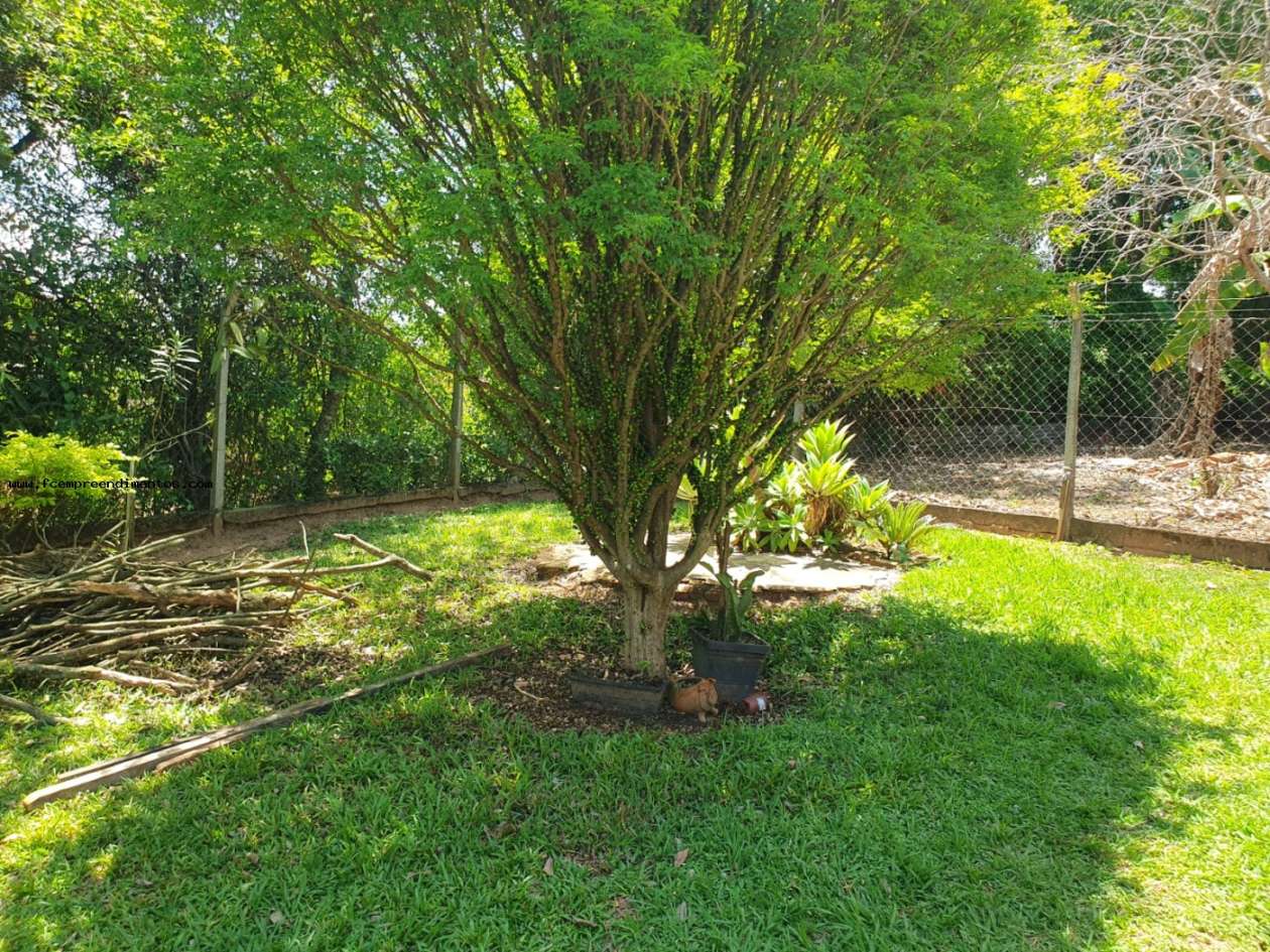 Chácara, 2 quartos, 1000 m² - Foto 15