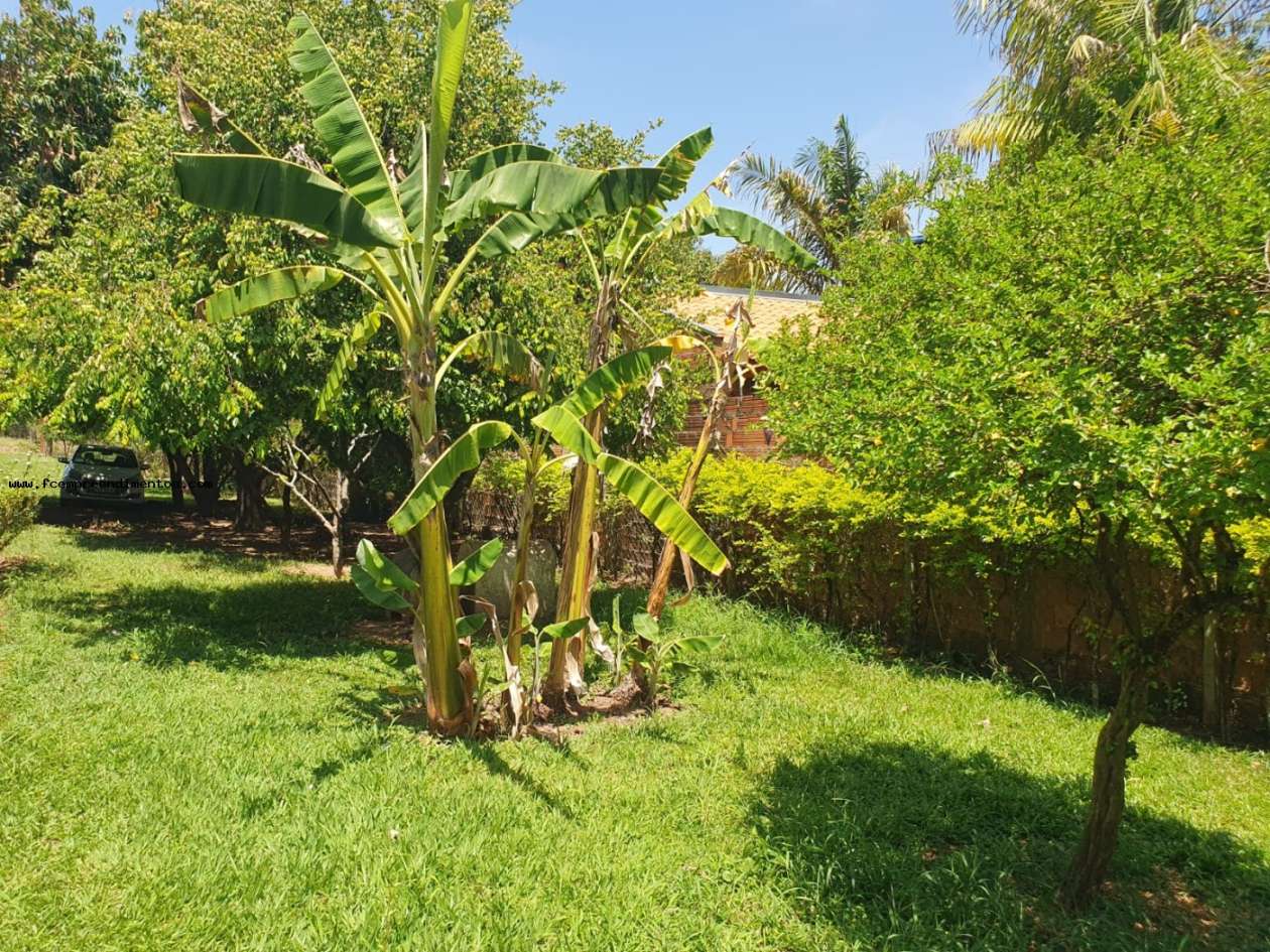 Chácara, 2 quartos, 1000 m² - Foto 16