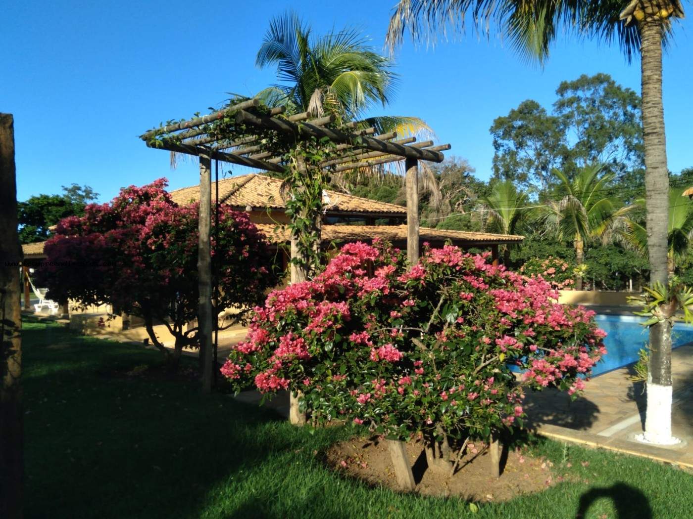 Chácara, 3 quartos, 2 hectares - Foto 5