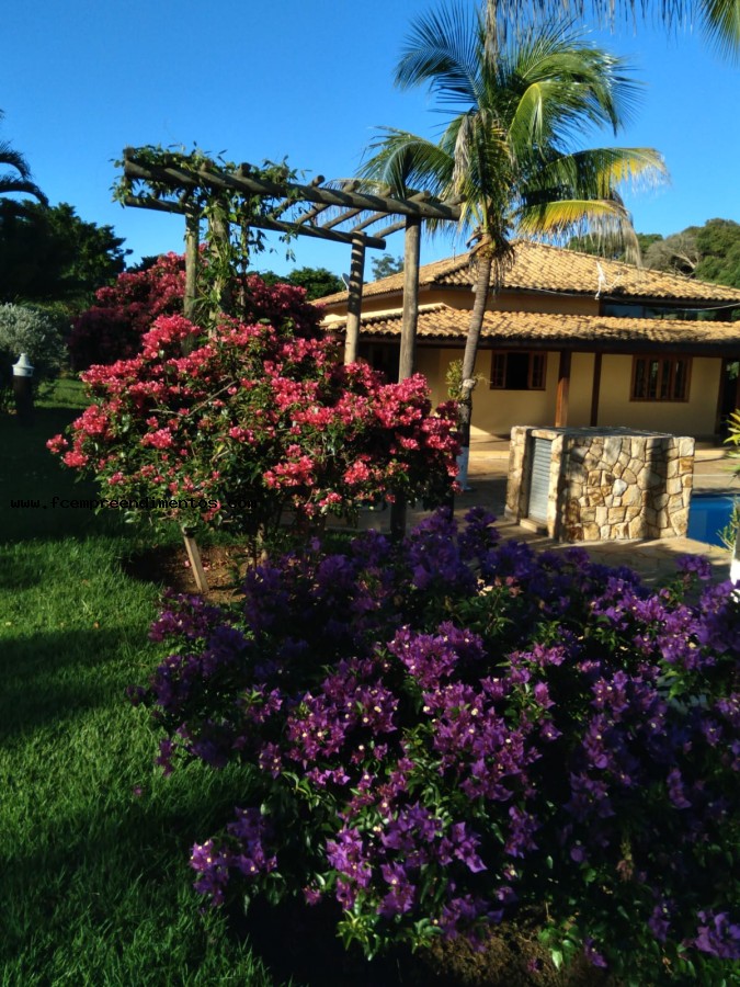 Chácara, 3 quartos, 2 hectares - Foto 6