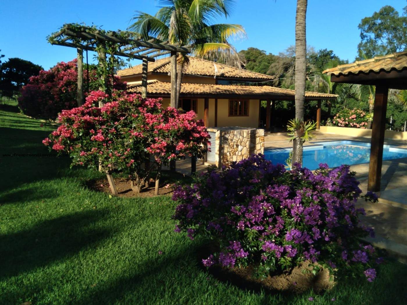 Chácara, 3 quartos, 2 hectares - Foto 7