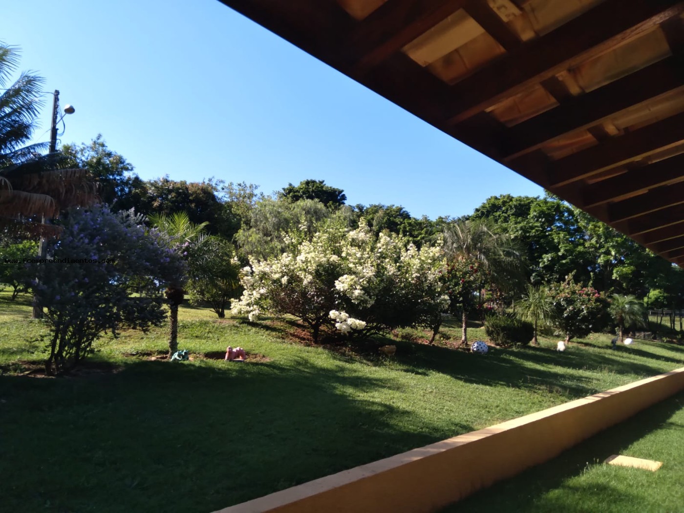 Chácara, 3 quartos, 2 hectares - Foto 9