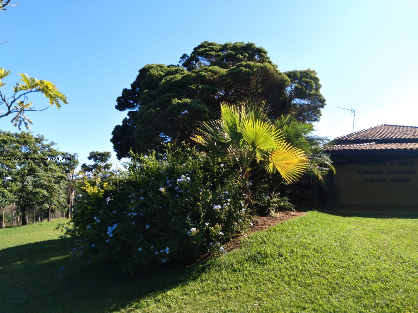 Chácara, 3 quartos, 2 hectares - Foto 12