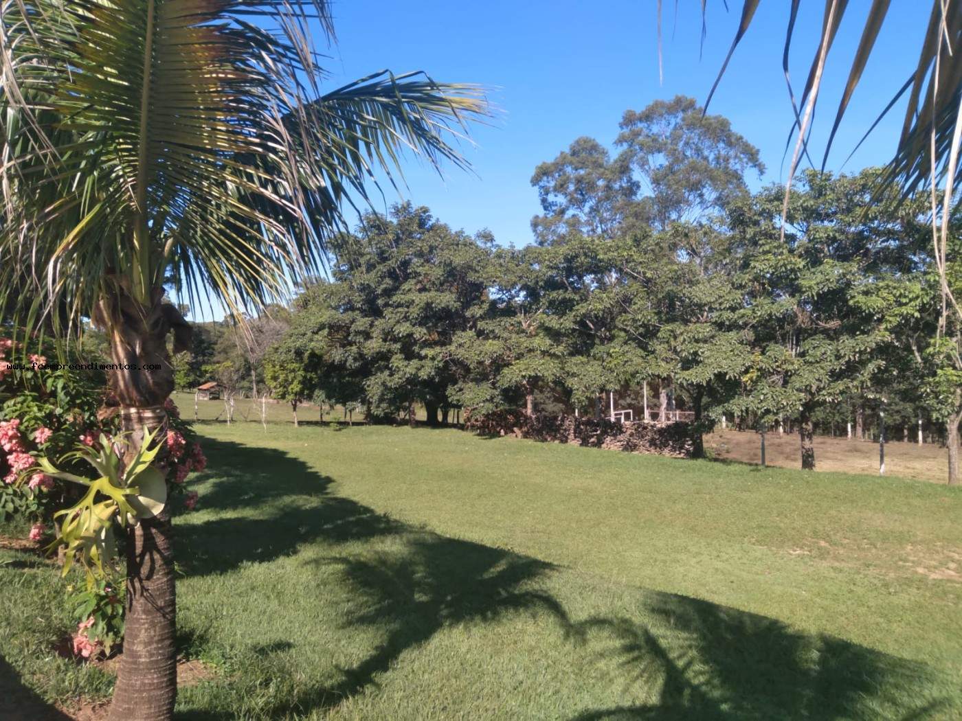 Chácara, 3 quartos, 2 hectares - Foto 15