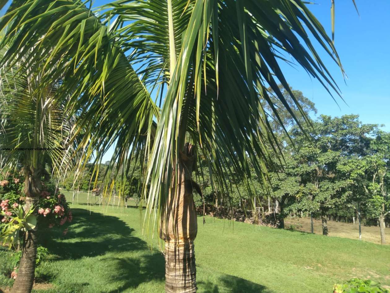 Chácara, 3 quartos, 2 hectares - Foto 17