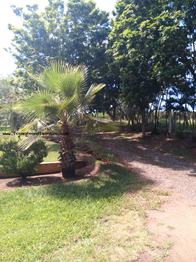 Chácara, 3 quartos, 2 hectares - Foto 23