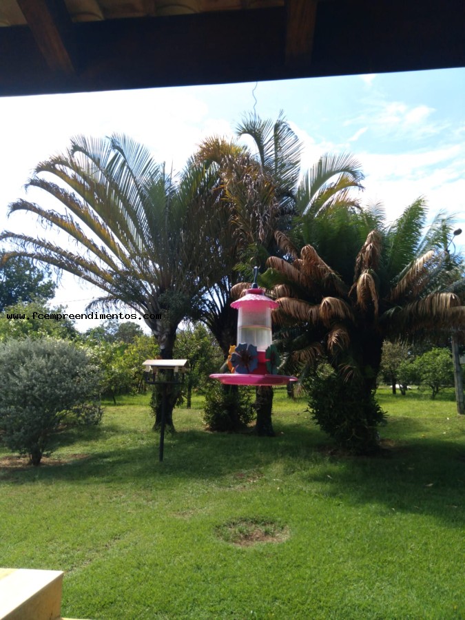 Chácara, 3 quartos, 2 hectares - Foto 34