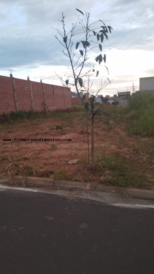 Terreno, 200 m² - Foto 3