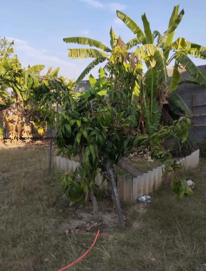 Chácara, 2 quartos, 800 m² - Foto 13