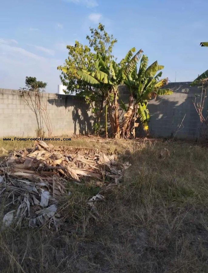 Chácara, 2 quartos, 800 m² - Foto 15