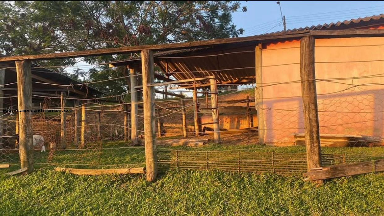 Chácara, 1 quarto, 6050 m² - Foto 7